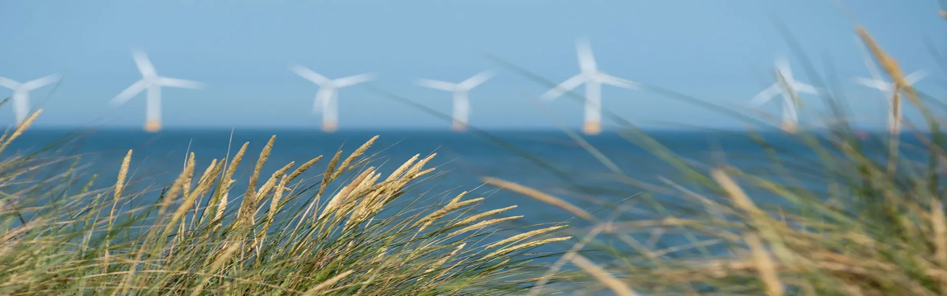 Mener la transition énergétique et la décarbonation de l'industrie