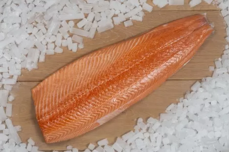 Geen andere energiebronnen nodig met Droogijs Als u Droogijs gebruikt om jouw voedingsproducten in de juiste verpakking te koelen, heeft u geen andere energiebron nodig.