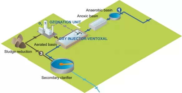 Biologischer Überschussschlamm