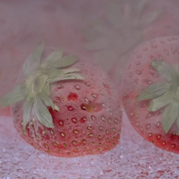 Cryogénie: surgeler, congeler et refroidir les aliments