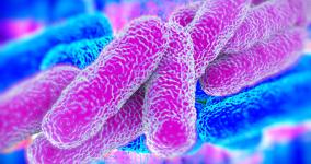 air-liquide-contamination-legionella