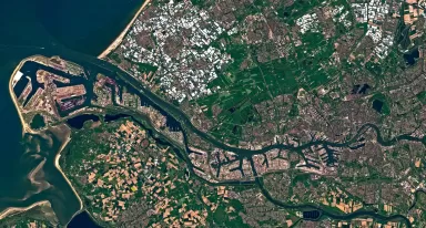 por bird view